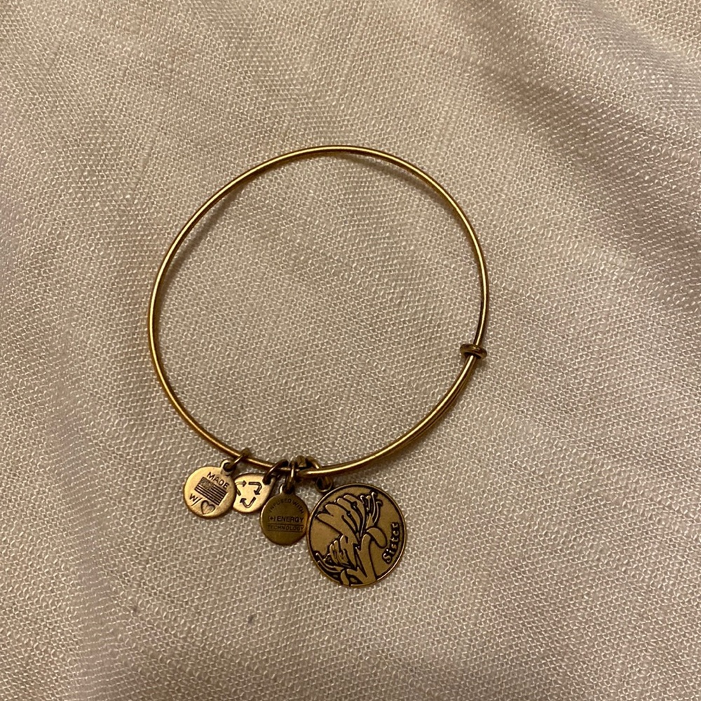 Alex and Ani bracelet - Sister bracelet